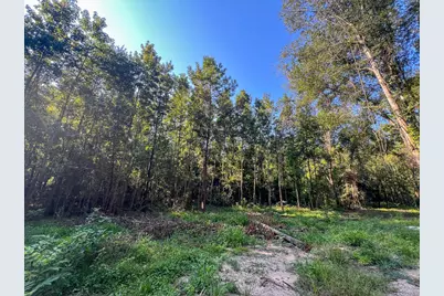 0 Off Hardy Bottom Rd, New Waverly, TX 77358 - Photo 2