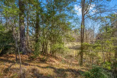 26 Twinstone Circle, Coldspring, TX 77331 - Photo 12