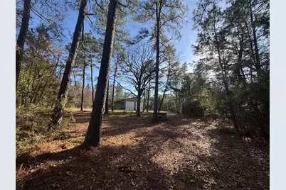 Lots 35 & 36 Brazos Pass, Lovelady, TX 75851 - Photo 2