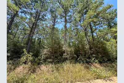 4 County Road 3230, Colmesneil, TX 75938 - Photo 10
