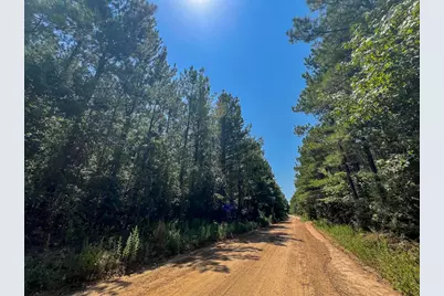 4 County Road 3230, Colmesneil, TX 75938 - Photo 6