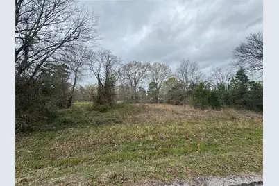 Tbd Fm 980 S, Point Blank, TX 77364 - Photo 4