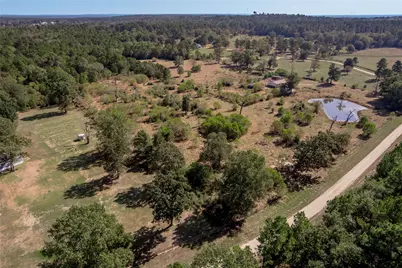 1525 Odessa Drive, Trinity, TX 75862 - Photo 6