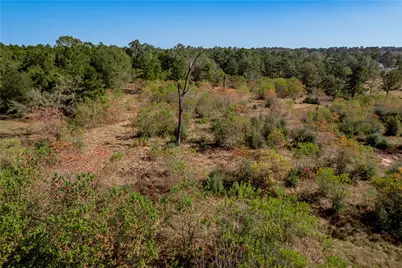 1525 Odessa Drive, Trinity, TX 75862 - Photo 18