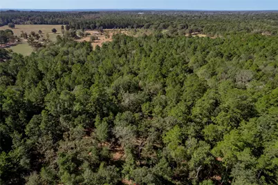 1525 Odessa Drive, Trinity, TX 75862 - Photo 8