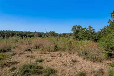1525 Odessa Drive, Trinity, TX 75862 - Photo 14