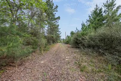 1631 County Road 131, Centerville, TX 75833 - Photo 12
