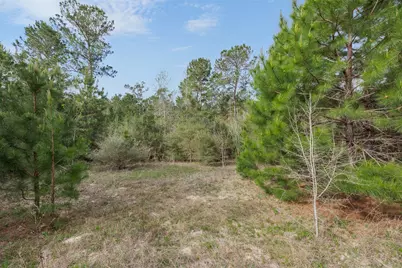 1631 County Road 131, Centerville, TX 75833 - Photo 14