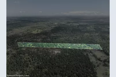 1631 County Road 131, Centerville, TX 75833 - Photo 6