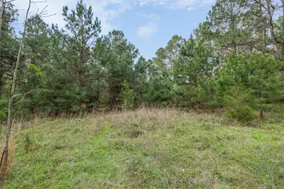 1631 County Road 131, Centerville, TX 75833 - Photo 2