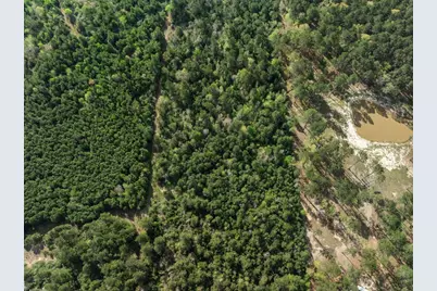 1631 County Road 131, Centerville, TX 75833 - Photo 22