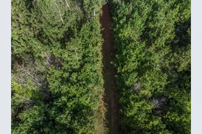 1631 County Road 131, Centerville, TX 75833 - Photo 24