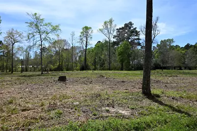 Lot 3 County Road 2360, Hardin, TX 77575 - Photo 4