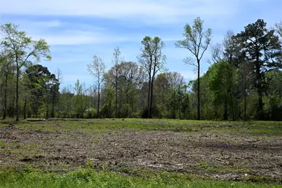 Lot 3 County Road 2360, Hardin, TX 77575 - Photo 2
