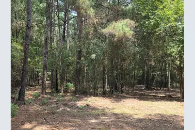11.5 Acres Johnson Road, Montgomery, TX 77356 - Photo 10