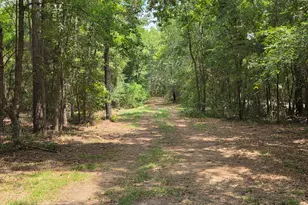 11 5 Acres Johnson Rd, Montgomery, TX 77356 - Photo 1
