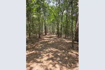 11.5 Acres Johnson Road, Montgomery, TX 77356 - Photo 12