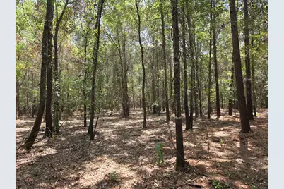 11.5 Acres Johnson Road, Montgomery, TX 77356 - Photo 16