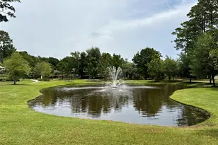 217 Southern Iris Ct, Montgomery, TX 77316 - Photo 46