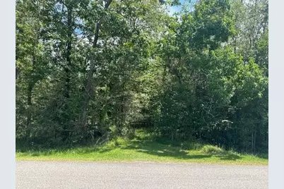 000 Pinewood, Sour Lake, TX 77659 - Photo 4