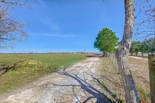 15734 Mound Rd, Hockley, TX 77447 - Photo 6