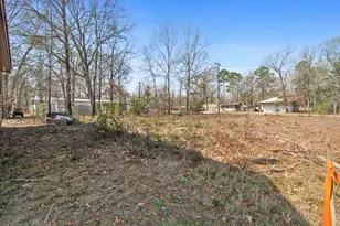 90 Roatan, Point Blank, TX 77364 - Photo 4