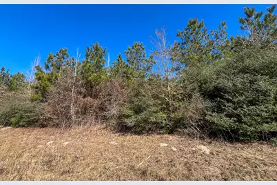 T-1 Cr 2140, Crockett, TX 75835 - Photo 4