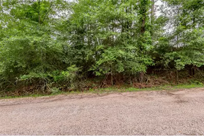 Lot 07 S Estate Drive, Trinity, TX 75862 - Photo 4