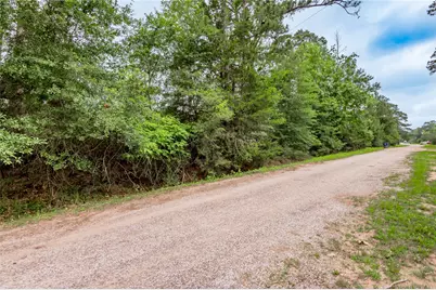 Lot 07 S Estate Drive, Trinity, TX 75862 - Photo 6