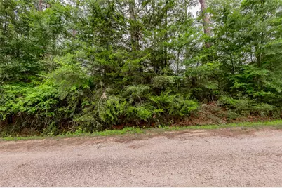 Lot 07 S Estate Drive, Trinity, TX 75862 - Photo 8