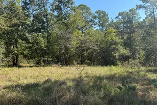 Tbd Shadowood Ln, Coldspring, TX 77331 - Photo 1