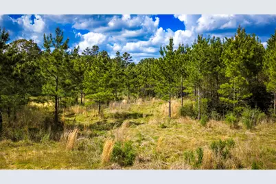 0 Jimbo Nettles Road, Livingston, TX 77351 - Photo 14