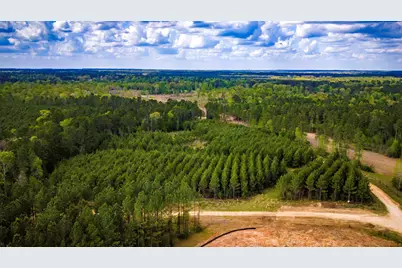 0 Jimbo Nettles Road, Livingston, TX 77351 - Photo 6