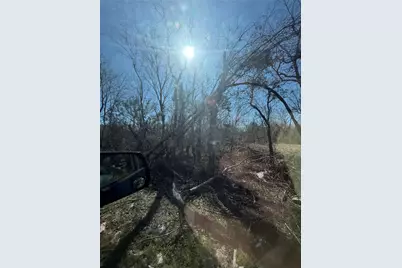 0 Fresno Dome, Fresno, TX 77545 - Photo 4