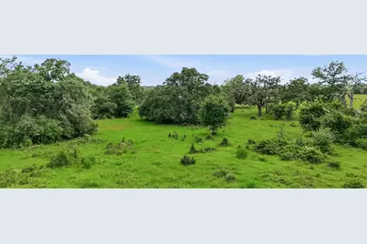 Tract 5 Holly Cemetery Road, Franklin, TX 77856 - Photo 6