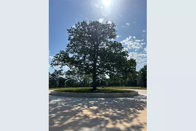 216 Hidden Oak Drive, Hockley, TX 77447 - Photo 6