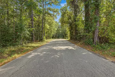 00 Bilnoski Road, Willis, TX 77378 - Photo 38