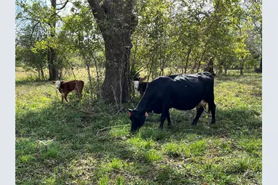 0 Hwy 35 E, Van Vleck, TX 77482 - Photo 14