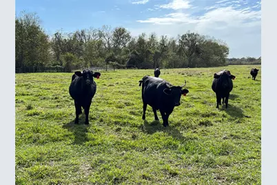 0 Hwy 35 E, Van Vleck, TX 77482 - Photo 16