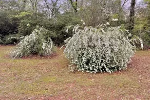 116 Lakeview Dr Dr, Grapeland, TX 75844 - Photo 34