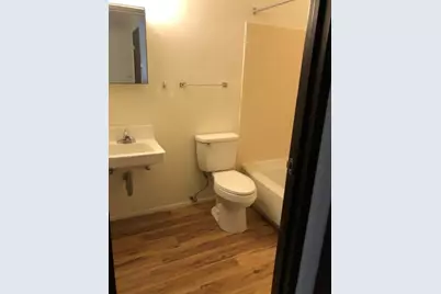 800 E Smith Street, Buchanan, MI 49107 - Photo 14