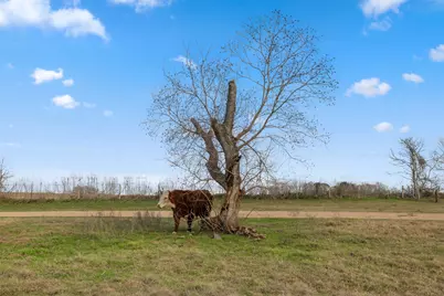 2346 Bruno Road, Schulenburg, TX 78956 - Photo 40