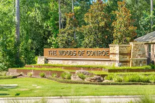 4041 Timber Sapp Dr, Conroe, TX 77304 - Photo 24