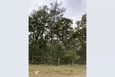 16596 Camelia Lane, Plantersville, TX 77363 - Photo 4