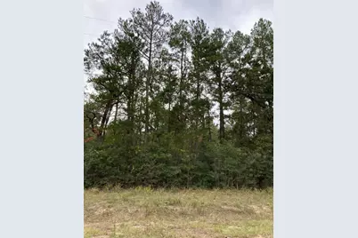 16596 Camelia Lane, Plantersville, TX 77363 - Photo 6