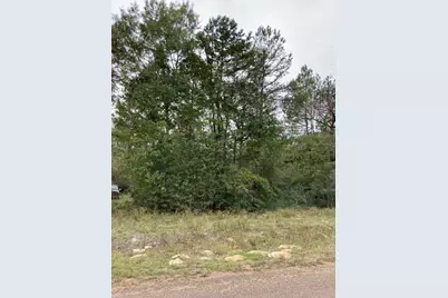16596 Camelia Lane, Plantersville, TX 77363 - Photo 8
