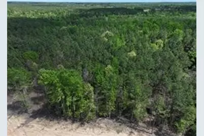 Tbd Williamson Way, Lovelady, TX 75851 - Photo 4