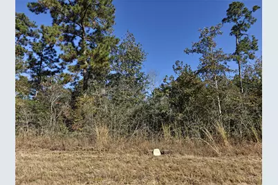 357 Iron Horse Road, New Waverly, TX 77358 - Photo 2