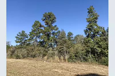 357 Iron Horse Road, New Waverly, TX 77358 - Photo 4