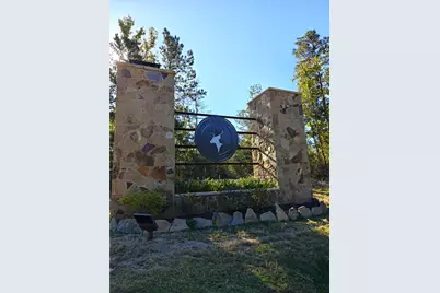 357 Iron Horse Road, New Waverly, TX 77358 - Photo 1